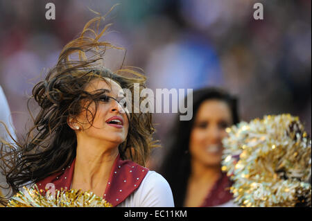 Landover, Maryland, Stati Uniti d'America. 07 dic 2014. Un Washington Redskins cheerleader compie durante il match tra il San Louis Rams e Washington Redskins a FedEx in campo Landover, MD. Credito: Cal Sport Media/Alamy Live News Foto Stock