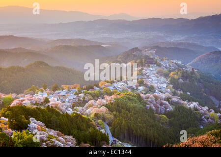 Yoshinoyama, Nara, Giappone durante la stagione primaverile. Foto Stock