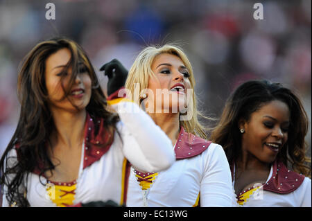 Landover, Maryland, Stati Uniti d'America. 07 dic 2014. Washington Redskins cheerleaders eseguire durante il match tra il San Louis Rams e Washington Redskins a FedEx in campo Landover, MD. Credito: Cal Sport Media/Alamy Live News Foto Stock