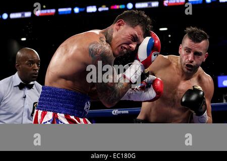 Brooklyn, New York, Stati Uniti d'America. Xx gen, 2013. DAVID LEMIEUX (nero trunk) e Gabriel ROSADO battaglia in un NABF middleweight title bout presso la Barclays Center di Brooklyn, New York. © Joel Plummer/ZUMA filo/Alamy Live News Foto Stock