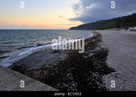 Monmouth Beach dal Cobb, Lyme Regis, West Dorset, guardando verso la Undercliff dove scrittore John Fowles (1926-2005) Foto Stock