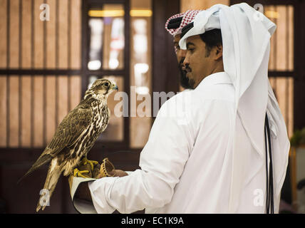 Gli arabi esaminando i falchi nella città di Doha shop. Il Falcon è uccello nazionale degli Emirati arabi uniti, Qatar, Arabia Saudita e Foto Stock