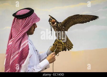 Arab esaminando falcon nella città di Doha shop. Il Falcon è uccello nazionale degli Emirati arabi uniti, Qatar, Arabia Saudita e Oman, un simbolo di status per royal famiglie arabe. La Falconeria è un sport preferito nella Penisola Arabica, mantenendo il patrimonio del deserto. Il prezzo dei falchi sul mercato Qatar è salito a più di US$275k, bouoyed da un aumento della domanda interna sul retro di un recente festival. Foto Stock