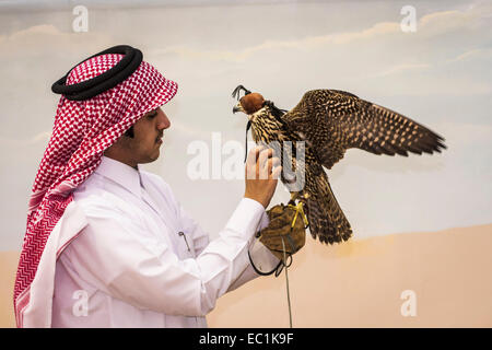 Arab esaminando falcon nella città di Doha shop. Il Falcon è uccello nazionale degli Emirati arabi uniti, Qatar, Arabia Saudita e Oman, un simbolo di status per royal famiglie arabe. La Falconeria è un sport preferito nella Penisola Arabica, mantenendo il patrimonio del deserto. Il prezzo dei falchi sul mercato Qatar è salito a più di US$275k, bouoyed da un aumento della domanda interna sul retro di un recente festival. Foto Stock