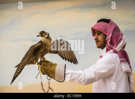 Arab esaminando falcon nella città di Doha shop. Il Falcon è uccello nazionale degli Emirati arabi uniti, Qatar, Arabia Saudita e Oman, un simbolo di status per royal famiglie arabe. La Falconeria è un sport preferito nella Penisola Arabica, mantenendo il patrimonio del deserto. Il prezzo dei falchi sul mercato Qatar è salito a più di US$275k, bouoyed da un aumento della domanda interna sul retro di un recente festival. Foto Stock