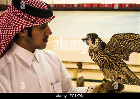 Arab esaminando falcon nella città di Doha shop. Il Falcon è uccello nazionale degli Emirati arabi uniti, Qatar, Arabia Saudita e Oman, un simbolo di status per royal famiglie arabe. La Falconeria è un sport preferito nella Penisola Arabica, mantenendo il patrimonio del deserto. Il prezzo dei falchi sul mercato Qatar è salito a più di US$275k, bouoyed da un aumento della domanda interna sul retro di un recente festival. Foto Stock