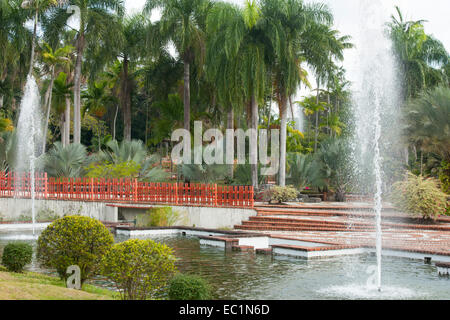 Dominikanische Republik, Santo Domingo, Jardin Botanico Rafael Moscoso, Foto Stock