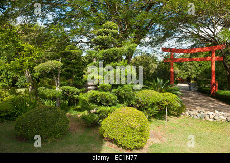 Dominikanische Republik, Santo Domingo, Jardin Botanico Rafael Moscoso, Foto Stock