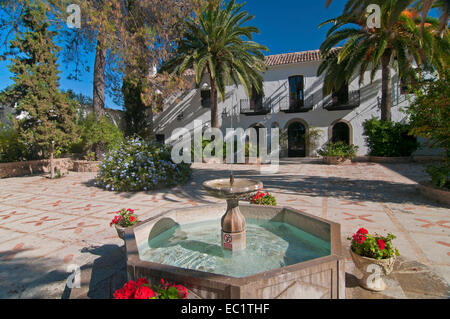 El Madroño agriturismo, Cortile Martos, Jaen provincia, regione dell'Andalusia, Spagna, Europa Foto Stock