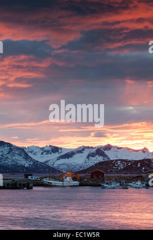 Case vacanza in Somaroy, Tromso, Troms, Norvegia Foto Stock