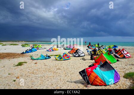 Aquiloni e kitesurfisti sulla spiaggia in venti alti, Mari Ermi, la penisola del Sinis, provincia di Oristano, Sardegna, Italia, Europa Foto Stock