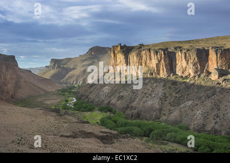 Vista da la Cueva de las Manos sulla valle del Rio Pinturas, santa cruz, argentina Foto Stock