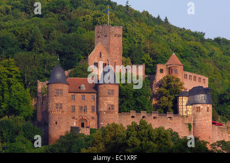 Burg castello Wertheim, Wertheim, Baden-Wuerttemberg, Main-Tauber, Strada Romantica, Romantische Strasse, Germania Foto Stock