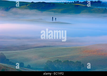 Val d'Orcia, Val d'Orcia all'alba, nebbia mattutina, Sito Patrimonio Mondiale dell'UNESCO, in provincia di Siena, Toscana, Italia, Europa Foto Stock