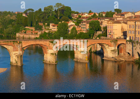 Albi, sul fiume Tarn, Ponte Vecchio, Tarn, Midi-Pirenei, Francia, Europa Foto Stock
