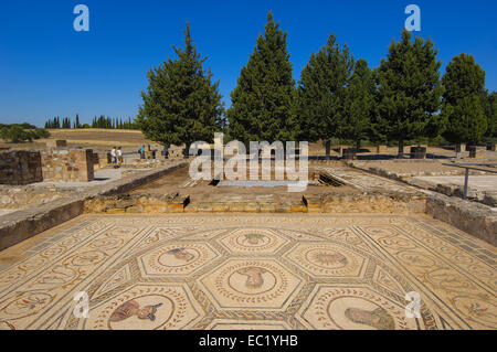 Santiponce, Italica, le rovine Romane di Italica, Siviglia, Andalusia, Spagna, Europa Foto Stock