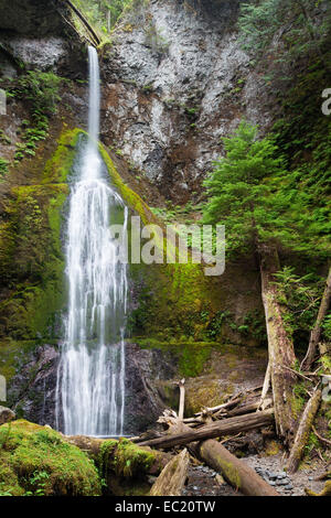 Marymere falls, cascata nel parco nazionale di Olympic, Washington, Stati Uniti Foto Stock