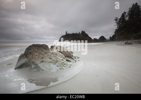 Ruby beach, forche, il parco nazionale di Olympic, Washington, Stati Uniti Foto Stock