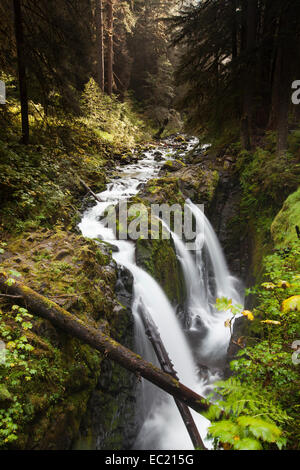 Sol duc cade nel sol duc River Valley, sol duc valle, Washington, Stati Uniti Foto Stock