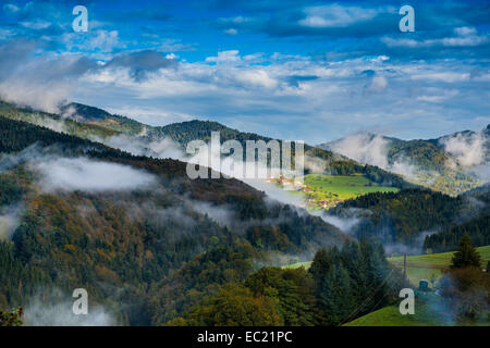 Atmosfera mattutina, Kleines Wiesental, Foresta Nera meridionale, foresta nera, Baden-Württemberg, Germania Foto Stock