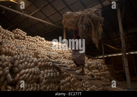 Dacca in Bangladesh. 08 dic 2014. Il lavoro del Bangladesh di lavorare all'interno di iuta godown Munshigonj nella periferia di Dhaka. Il Bangladesh è il più grande produttore mondiale di iuta, una sostanza fibrosa utilizzato nella realizzazione di tela ruvida, sacchi, stuoie, corda e spago e tappeto appoggiando. La iuta è un settore vitale da economico, agricolo, industriale e punto di vista commerciale in Bangladesh. Una volta la iuta è stato chiamato il "d'Oro" di fibra del Bangladesh. e la crescita di questo settore è in una condizione di vulnerabilità. Credito: zakir hossain chowdhury zakir/Alamy Live News Foto Stock