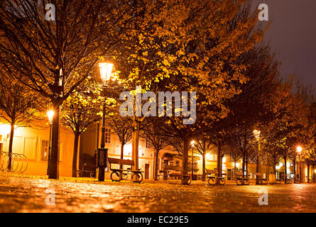 Autunno parco nella Città Vecchia di Praga di notte Foto Stock