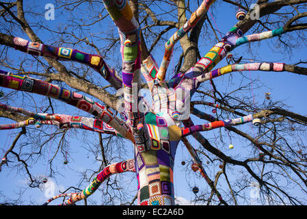 Patchwork manicotto in maglia di copertura di un albero di quercia in inverno a Stratford Upon Avon, Warwickshire, Inghilterra Foto Stock