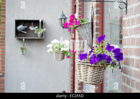 Cesti con fiori appesi sulla parete Foto Stock