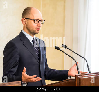 Kiev, Ucraina. 08 dic 2014. Il primo ministro Yatsenyuk -- In Lunedi, 8 dicembre 2014, primo ministro Yatsenyuk si è incontrato con il Vice Primo Ministro e Ministro degli Affari esteri del Regno del Belgio Didier REYNDERS. Ministro degli esteri belga ha assicurato il capo del governo ucraino in un alto livello di fiducia nel nuovo gabinetto e la Verkhovna Rada. Credito: Igor Golovnov/Alamy Live News Foto Stock