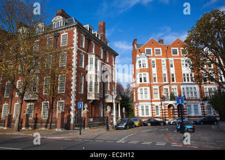 Londra novembre 17,2011:Il quartiere di Chelsea - è un affluente area nel centro di Londra,delimitata a sud dal corso del fiume Thame Foto Stock