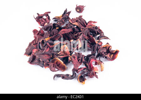 Hibiscus sabdariffa in sfondo bianco Foto Stock
