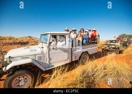 Africa, Namibia. Tok Tokkie percorsi escursioni e osservazione degli animali selvatici nel carrello. Modello rilasciato. Foto Stock