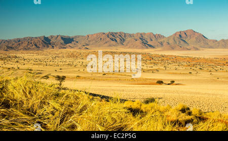 Africa, Namibia. Tok Tokkie sentieri. Visualizzare durante l'escursione. Foto Stock