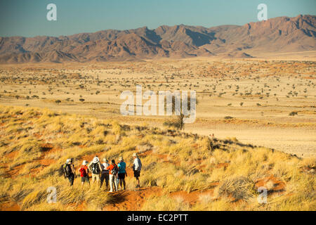 Africa, Namibia. Tok Tokkie sentieri. Escursioni al campeggio. Modello rilasciato. Foto Stock