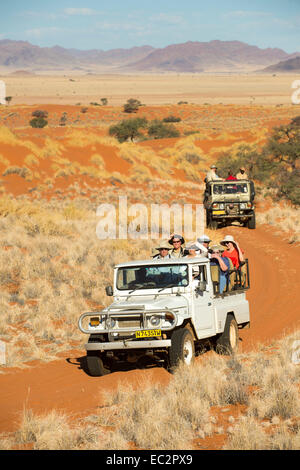 Africa, Namibia. Tok Tokkie percorsi escursioni e osservazione degli animali selvatici nel carrello. Modello rilasciato. Foto Stock