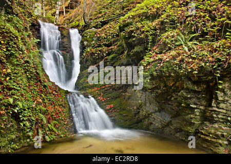 Sotiris cascata vicino al villaggio di Elatochori, Pieria montagne, Pieria, Macedonia, Grecia. Foto Stock