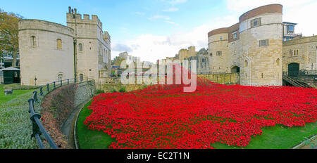 Panorama di sangue spazzata di terre e mari di papaveri rossi, presso la Torre di Londra, in Inghilterra, Regno Unito Foto Stock