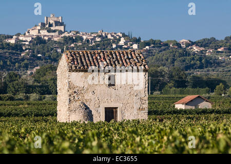 Francia, Vaucluse Provence, Le Barroux, vigneti e cabanon (capannone), Comtat Venaissan, Foto Stock