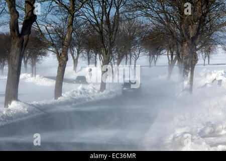 Vetture in snow flurry, Kühlungsborn, Mecklenburg, Germania Foto Stock