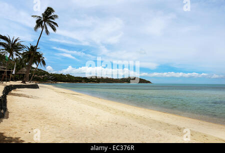 Luminose seascape con palme durante il giorno Foto Stock