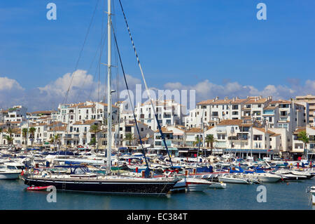 Esclusiva marina di Puerto Banus a Marbella, Costa del Sol, provincia di Malaga, Andalusia, Spagna, Europa Foto Stock