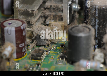 Accumulo di polvere all'interno di apparecchiature elettroniche Foto Stock