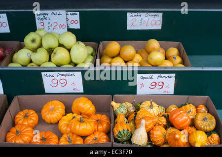 Piccole zucche, mele e arance in un negozio di Manhattan. Stati Uniti d'America. Mini zucche. La zucca è una cultivar della pianta di squash, mos Foto Stock