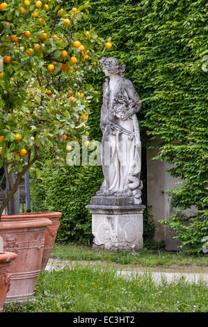 Nel giardino degli agrumi di Villa Pisani, Stra, Italia. Una statua della dea romana Cerere di fronte a una siepe a carpino (carpinus) Foto Stock