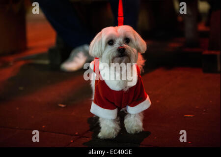 Londra, Regno Unito. 8 dicembre, 2014. Le persone aventi fun in Winter Wonderland di Hyde Park, Londra Credito: Giulia Fiori/Alamy Live News Foto Stock