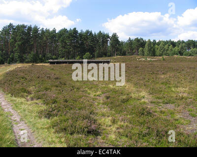 Heath apiario a Wilseder Berg nel Lueneburg Heath. Il supporto è dotato di appositi cesti di paglia. Questi sono i tradizionali arnie chiamato Lueneburger Stuelper. Foto: Klaus Nowottnick Data: 04 Agosto 2009 Foto Stock