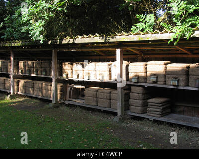 Heath apiario in Hermannsburg in Lueneburg Heath. Il supporto è dotato di appositi cesti di paglia. Questo Kanitz ceste sono tradizionali arnie del heath apicoltore. Foto: Klaus Nowottnick Data: 30 Luglio 2009 Foto Stock