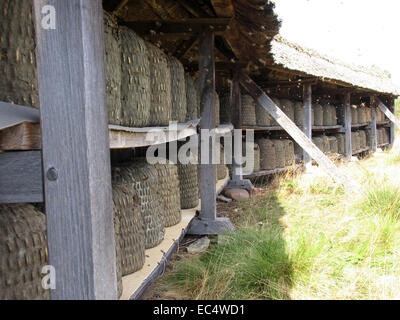 Heath apiario a Wilseder Berg nel Lueneburg Heath. Il supporto è dotato di appositi cesti di paglia. Questi sono i tradizionali arnie chiamato Lueneburger Stuelper. Foto: Klaus Nowottnick Data: 04 Agosto 2009 Foto Stock