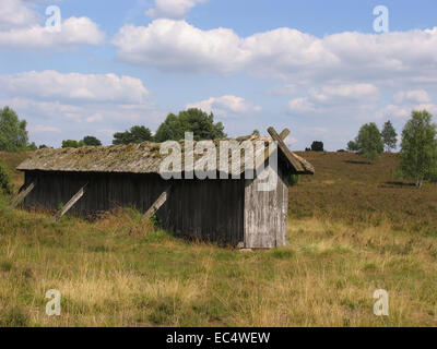 Heath apiario a Wilseder Berg nel Lueneburg Heath. Il supporto è dotato di appositi cesti di paglia. Questi sono i tradizionali arnie chiamato Lueneburger Stuelper. Foto: Klaus Nowottnick Data: 04 Agosto 2009 Foto Stock