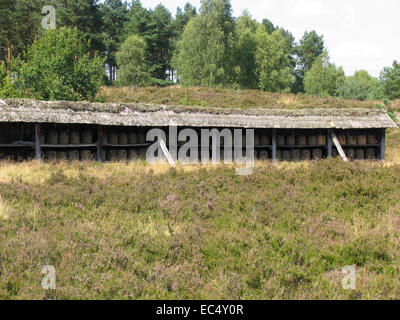 Heath apiario a Wilseder Berg nel Lueneburg Heath. Il supporto è dotato di appositi cesti di paglia. Questi sono i tradizionali arnie chiamato Lueneburger Stuelper. Foto: Klaus Nowottnick Data: 04 Agosto 2009 Foto Stock